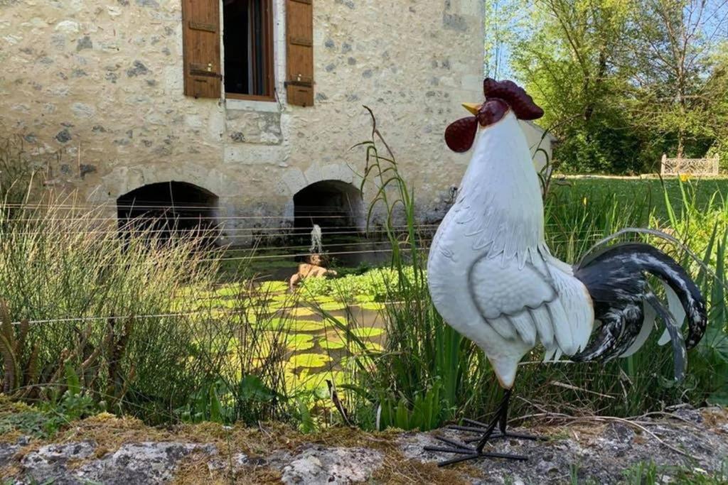 Gite Moulin De Lausseignan 바르바스테 외부 사진